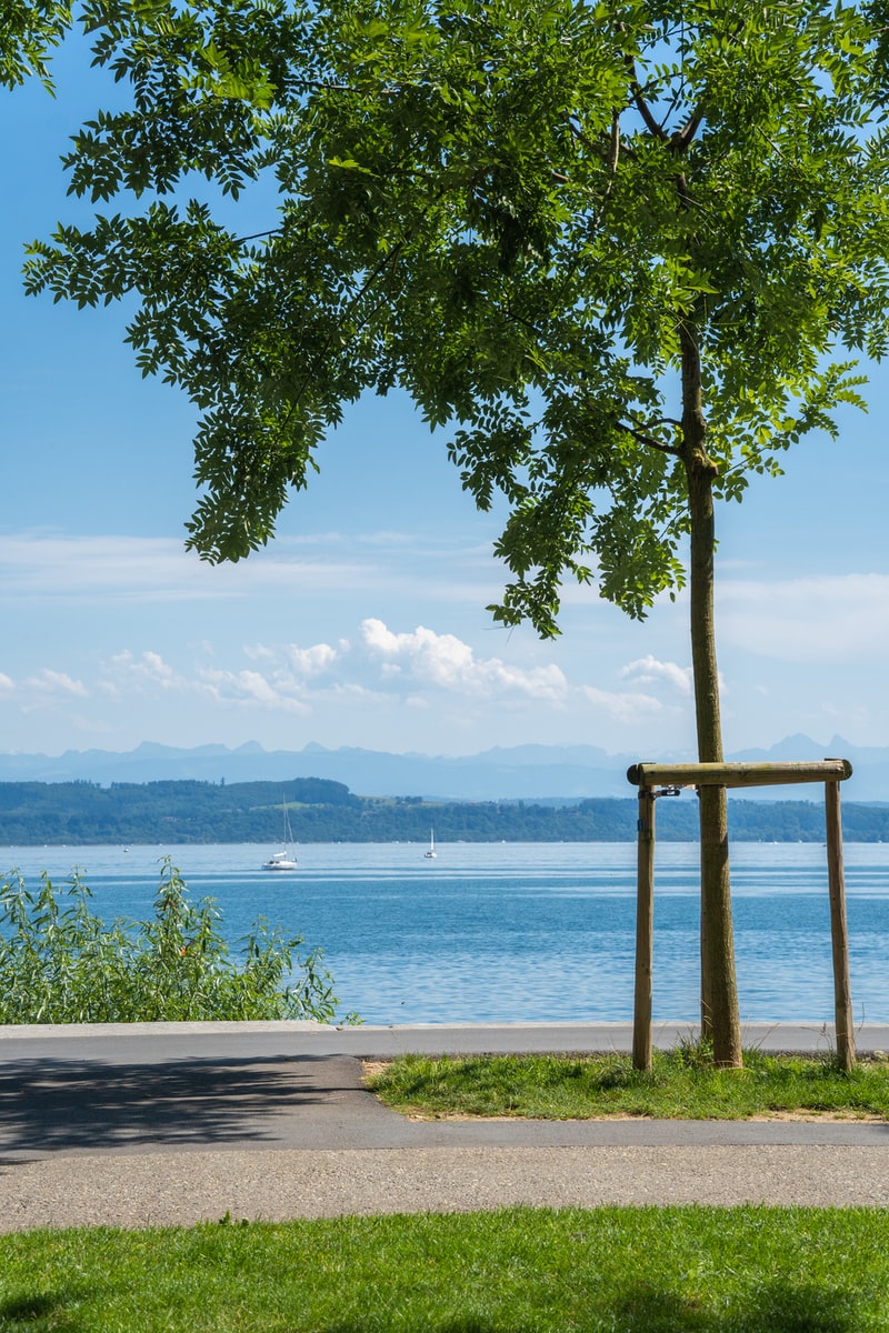 bord du lac de Neuchâtel